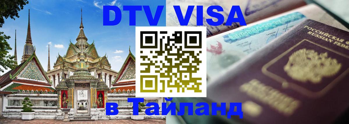 Сколько стоит DTV виза — актуальные цены, оформление даже без документов - Армавир 